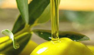 橄榄油的功效与作用 橄榄油是干嘛的